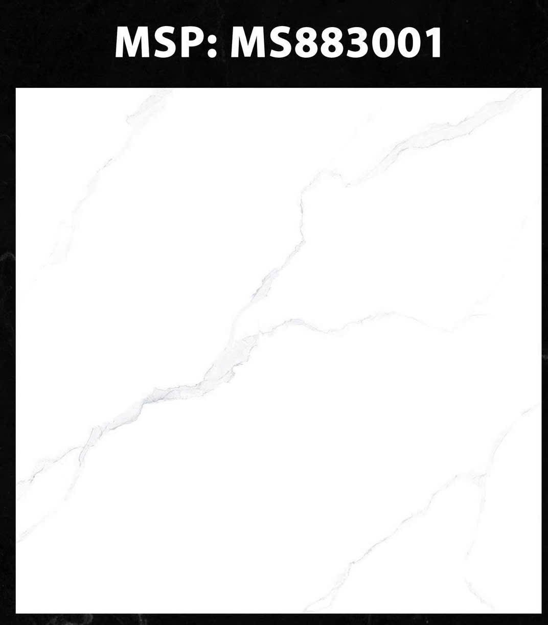 Gạch ốp lát 80x80cm -4951