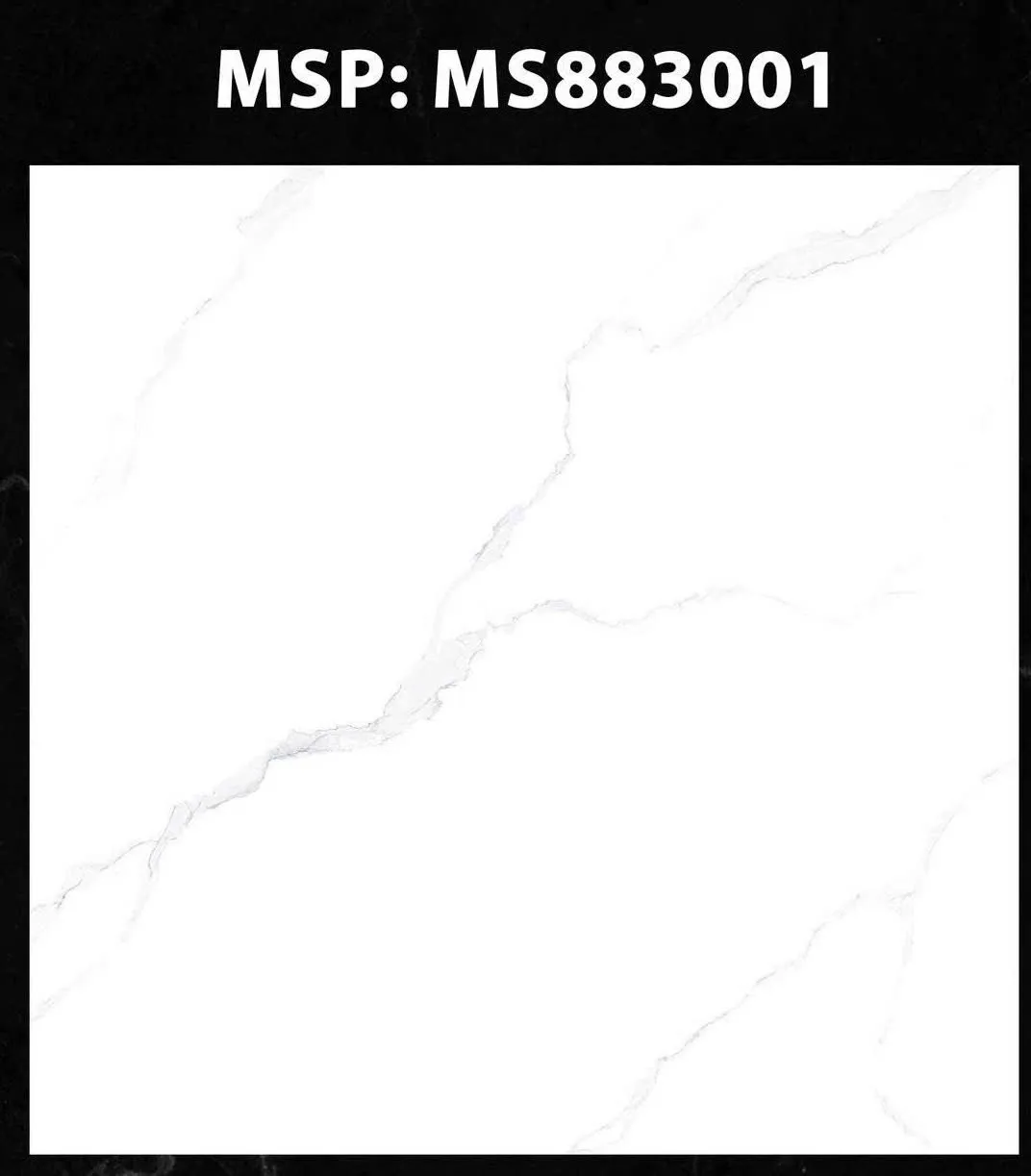 Gạch ốp lát 80x80cm -4951