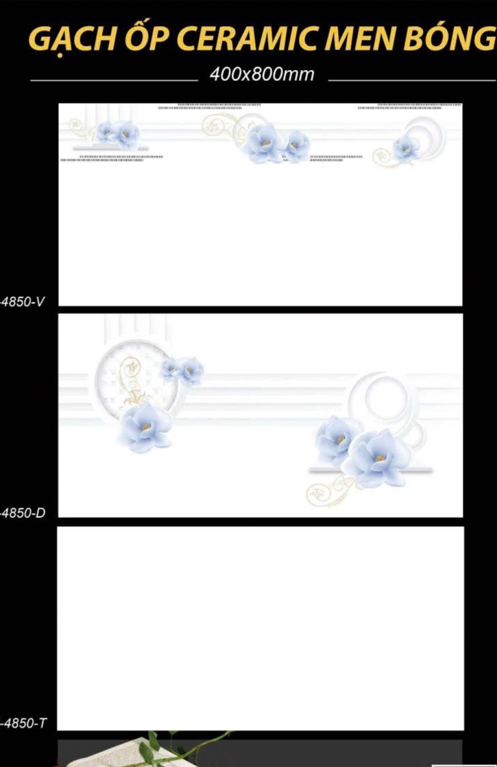 Gạch ốp tường 40x80cm-5279
