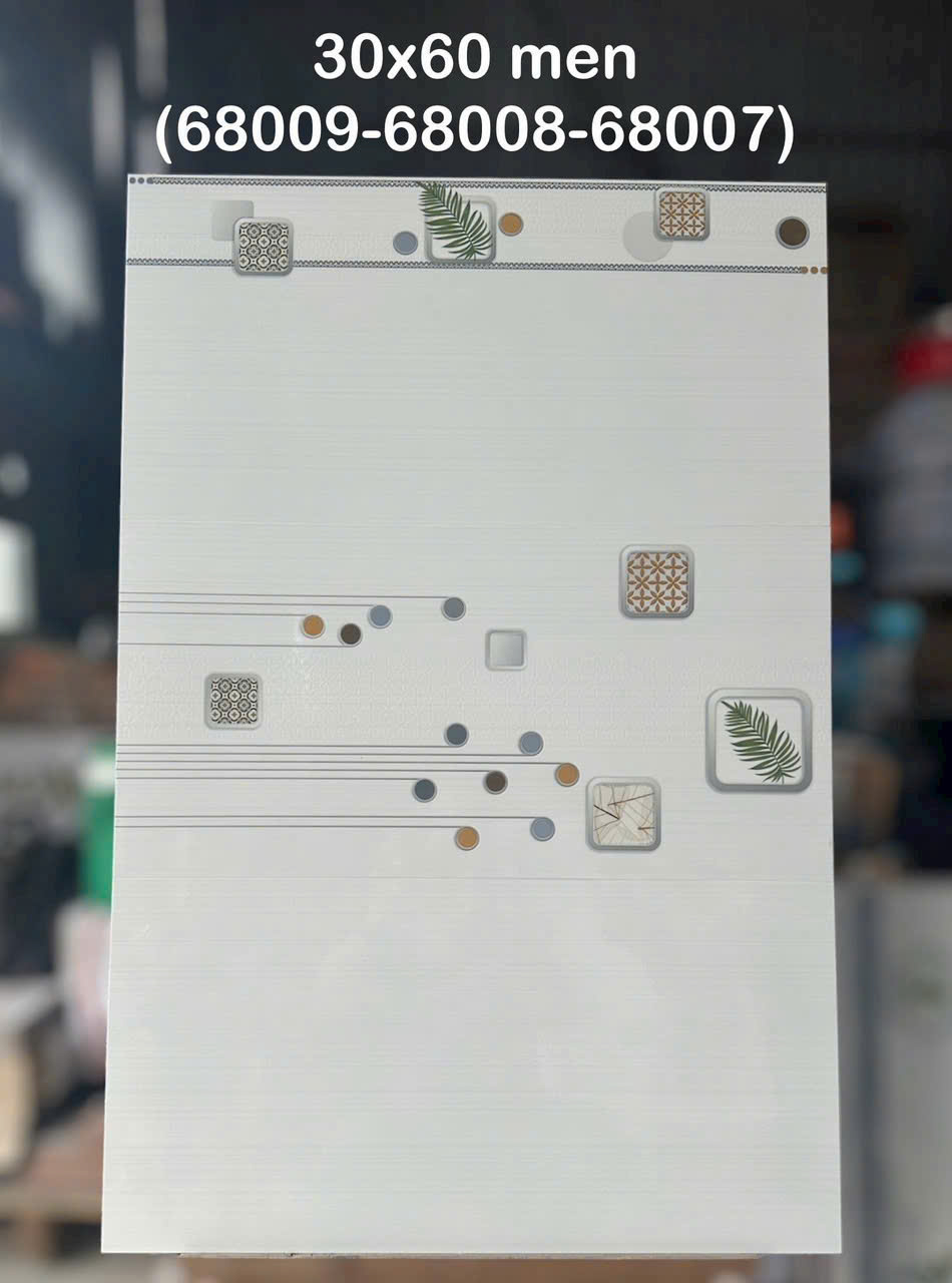 Gạch ốp tường 30x60cm-5334