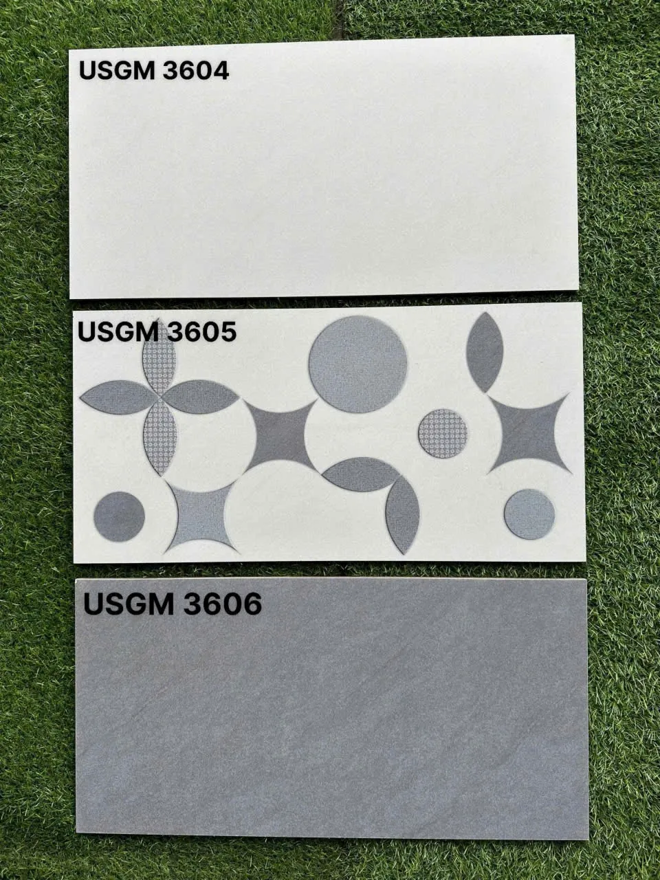 Gạch ốp lát 30x60cm-5358