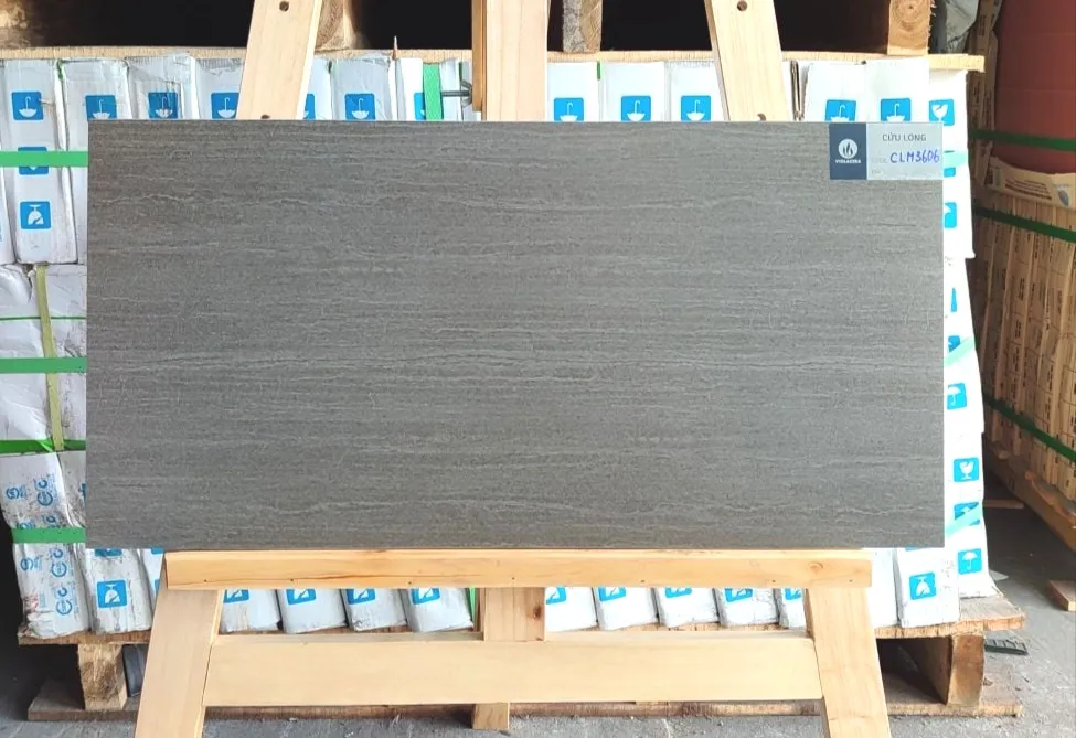 Gạch ốp lát 30x60cm-5473