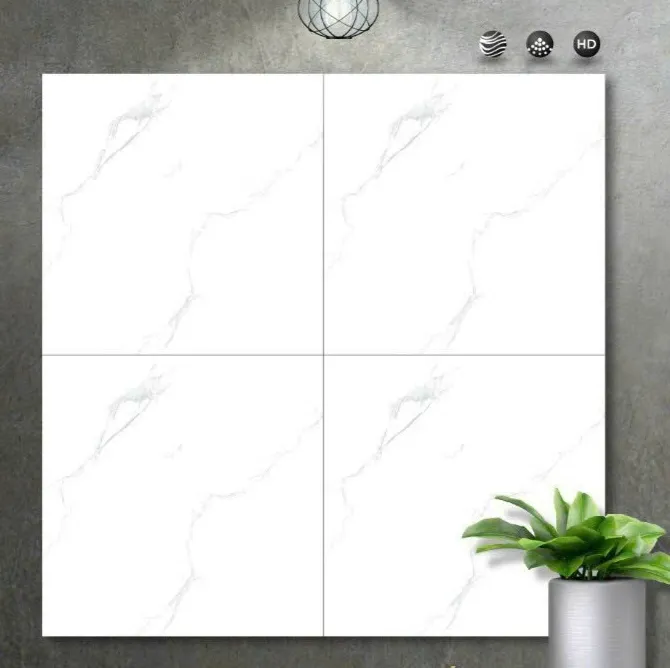 Gạch ốp lát 60x60cm-5516