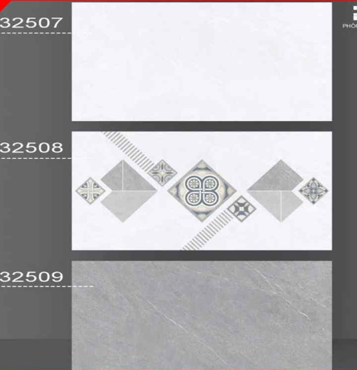 Gạch ốp lát 30x60cm-5546
