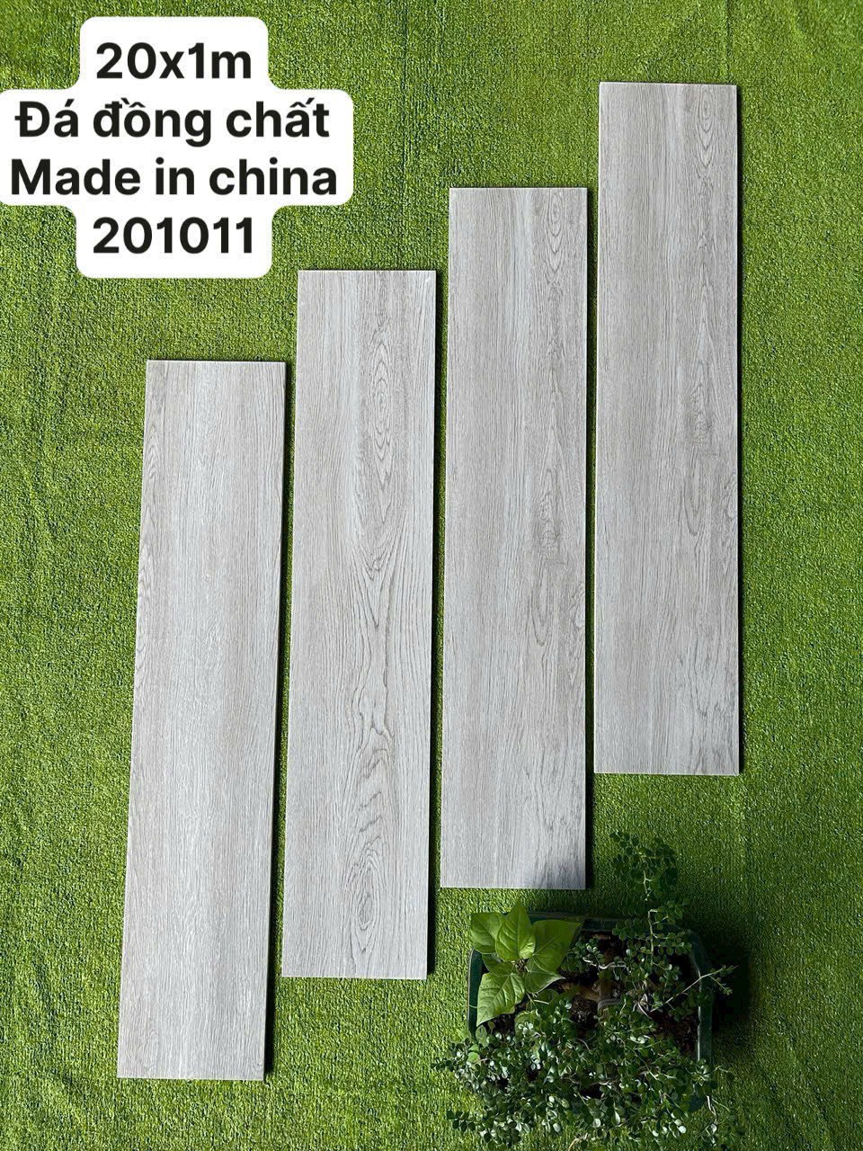 Gạch gỗ 20x100cm -5233