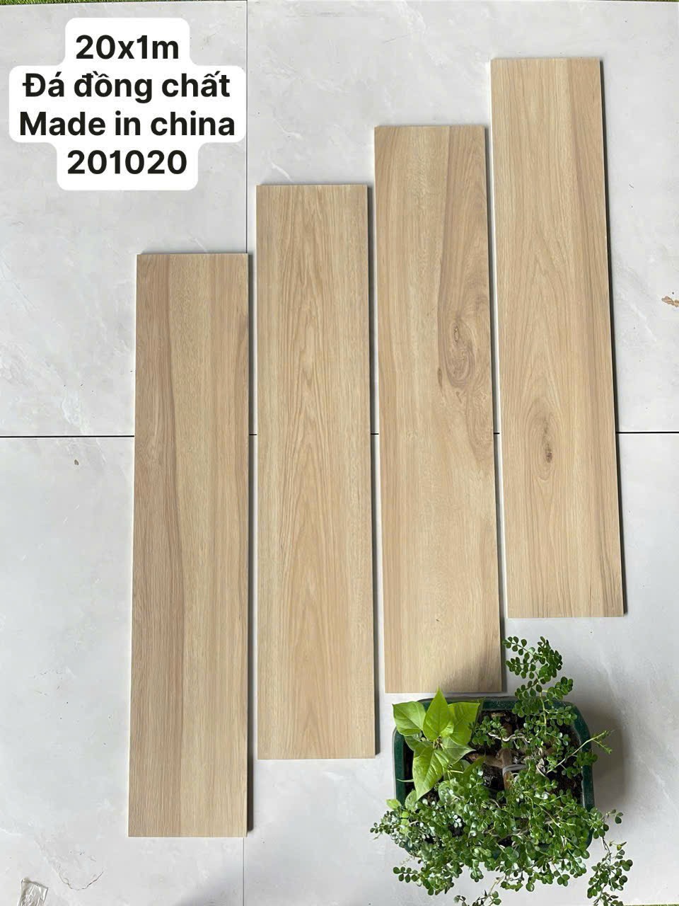 Gạch gỗ 20x100cm -5241
