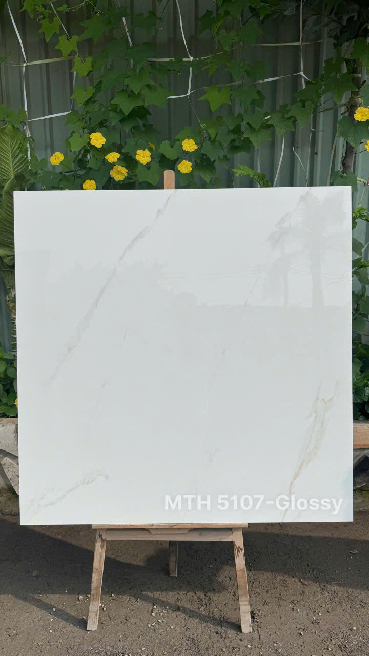 Gạch Lát Nền 120x100cm Nhập Khẩu Ấn Độ 5107-4844