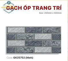 Gạch Trang Trí 25x50cm -5558