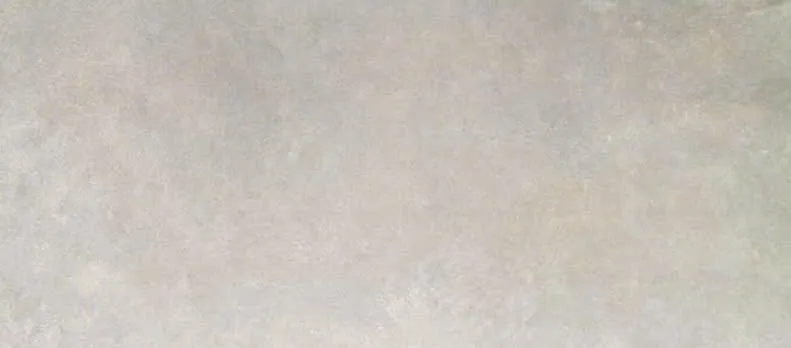 Gạch ốp lát 30x60cm -5213