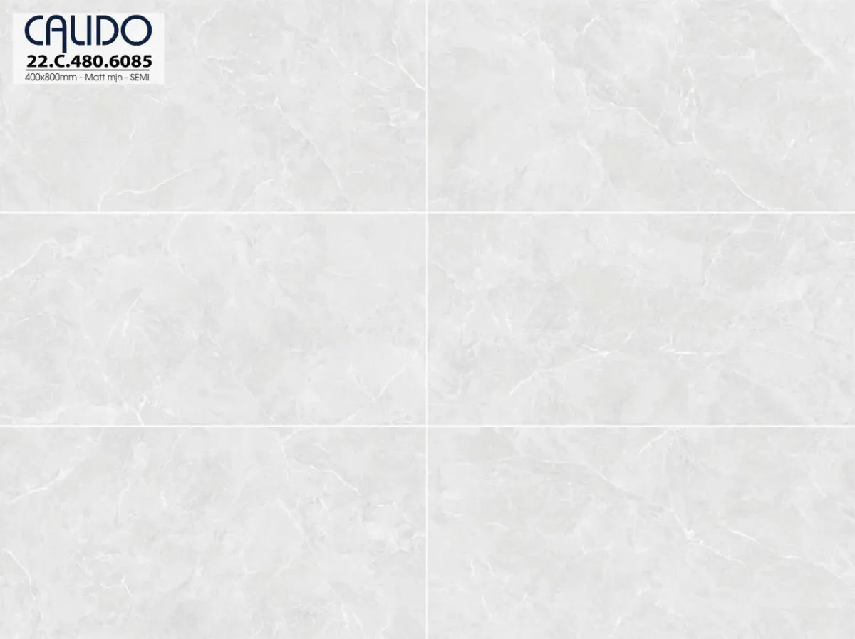 Gạch ốp lát 40x80cm -5255