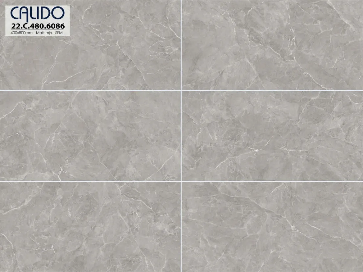 Gạch Ốp Tường 40x80cm -5258