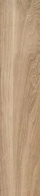 Gạch gỗ 20x100cm -5302