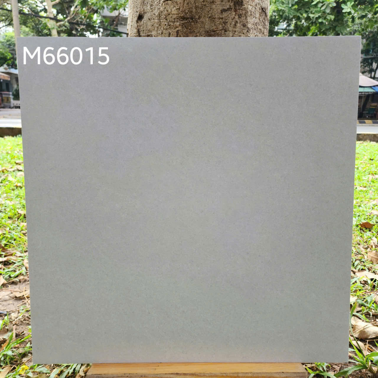 Gạch Lát Nền 60x60cm M66015-4824