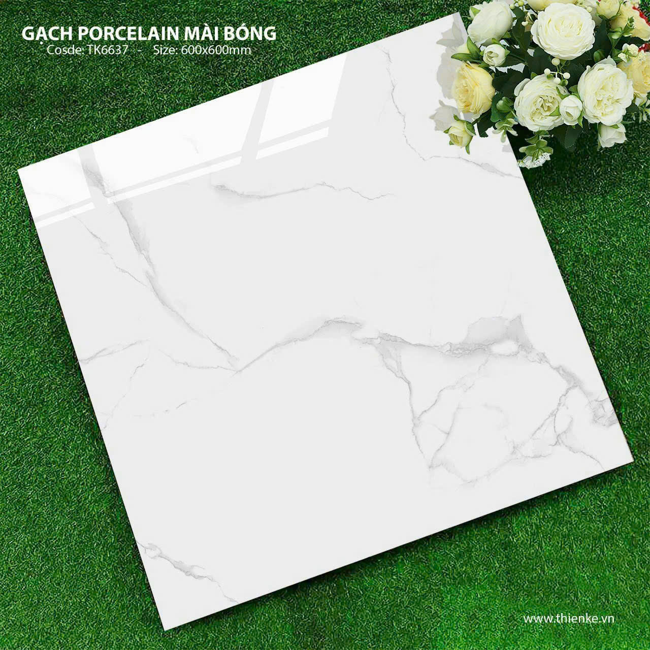 Gạch Lát Nền 60x60cm -5020