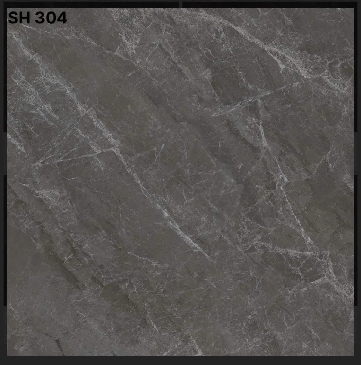 Gạch lát nền 30x30cm -5479