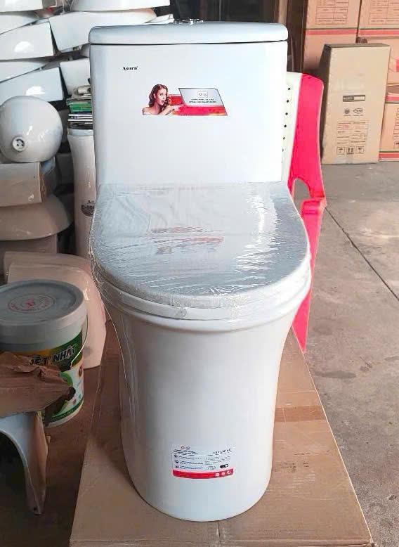 Bồn cầu nguyên khối-4166