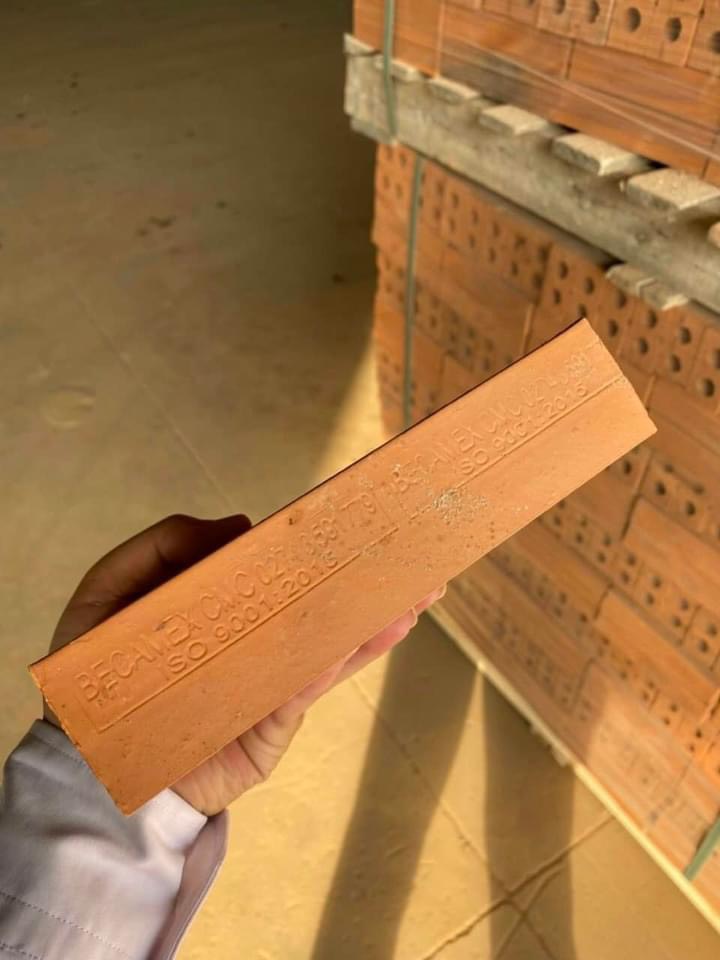 Gạch đinh Tuynel 4x8x18cm Becamex A1-2818