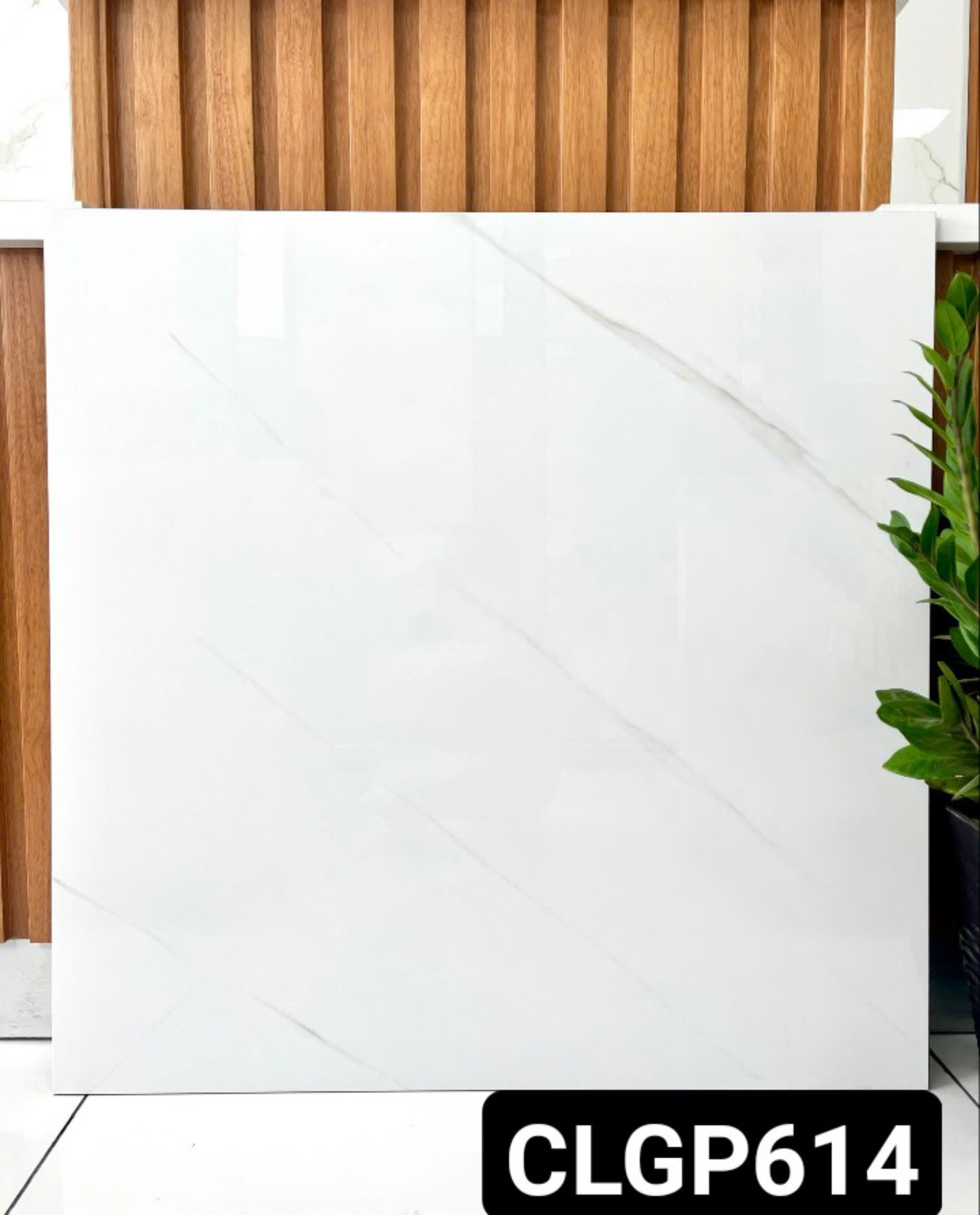 Gạch Lát Nền 60x60cm CLGP614-4861