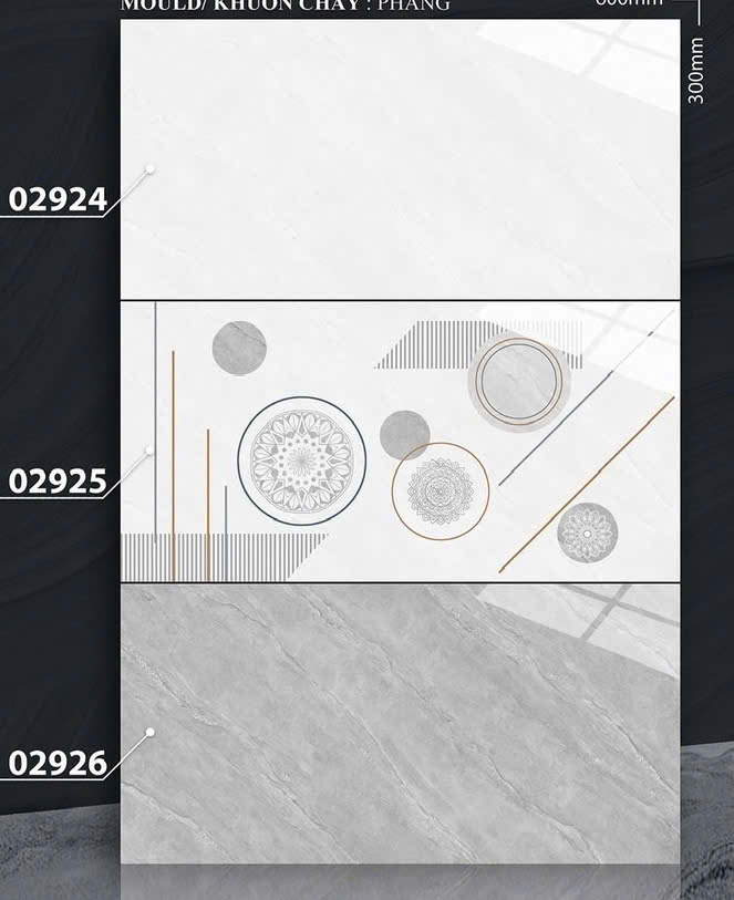 Gạch ốp tường 30x60cm-4996