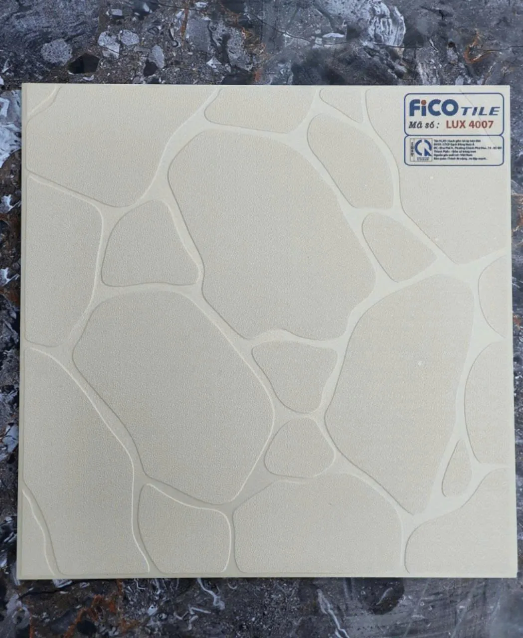 Gạch Lát Sân Vườn 50x50cm -5087