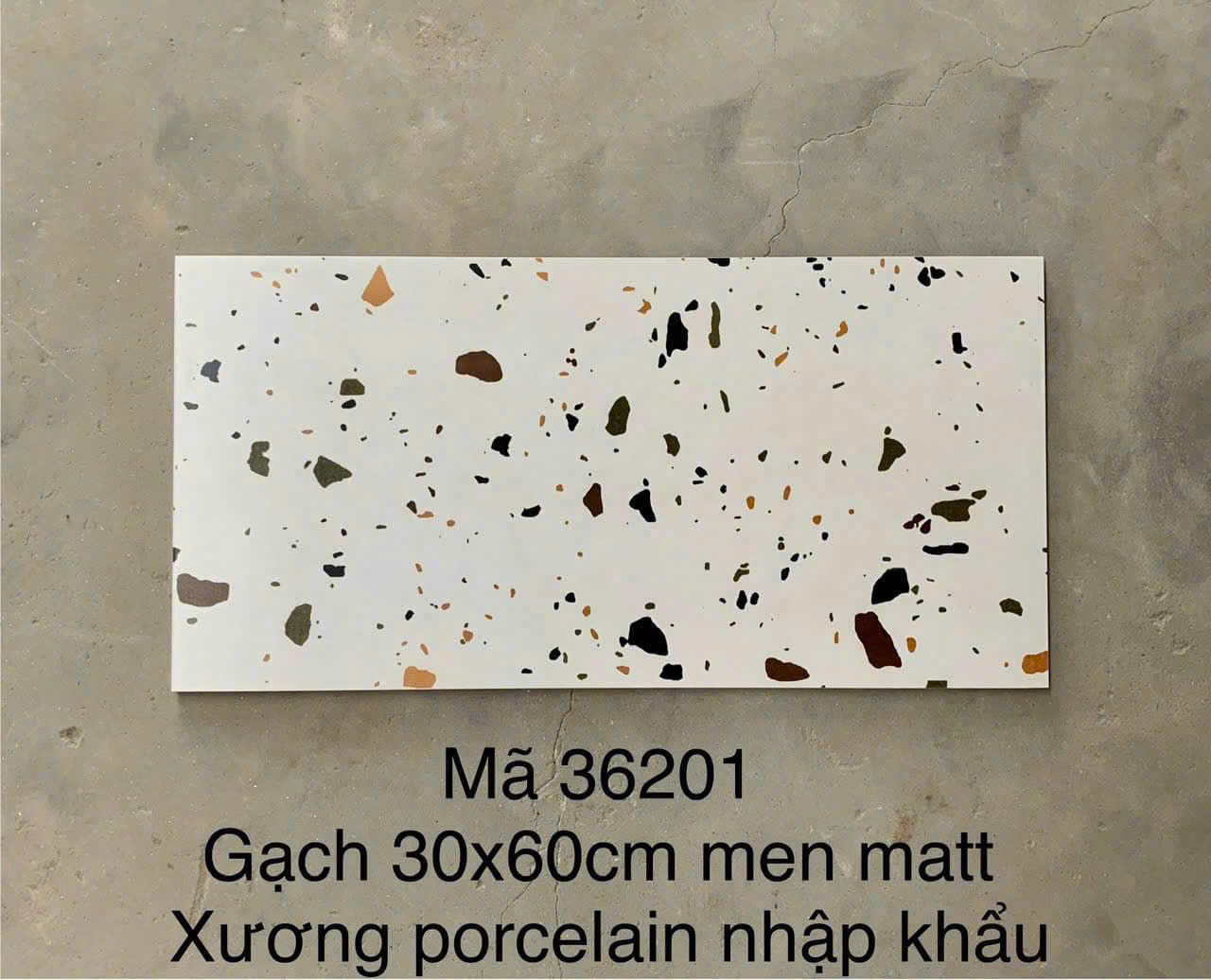 Gạch Lát Nền 30x60cm -5598