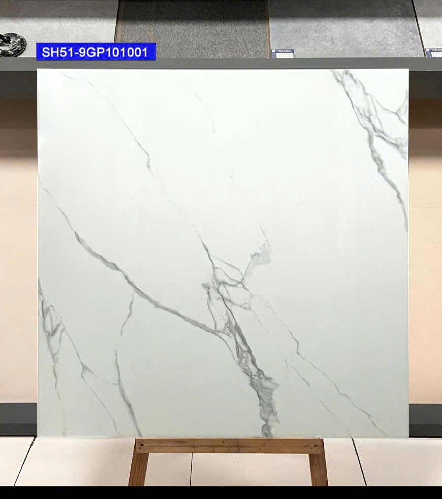 Gạch Lát Nền 100x100cm -5670