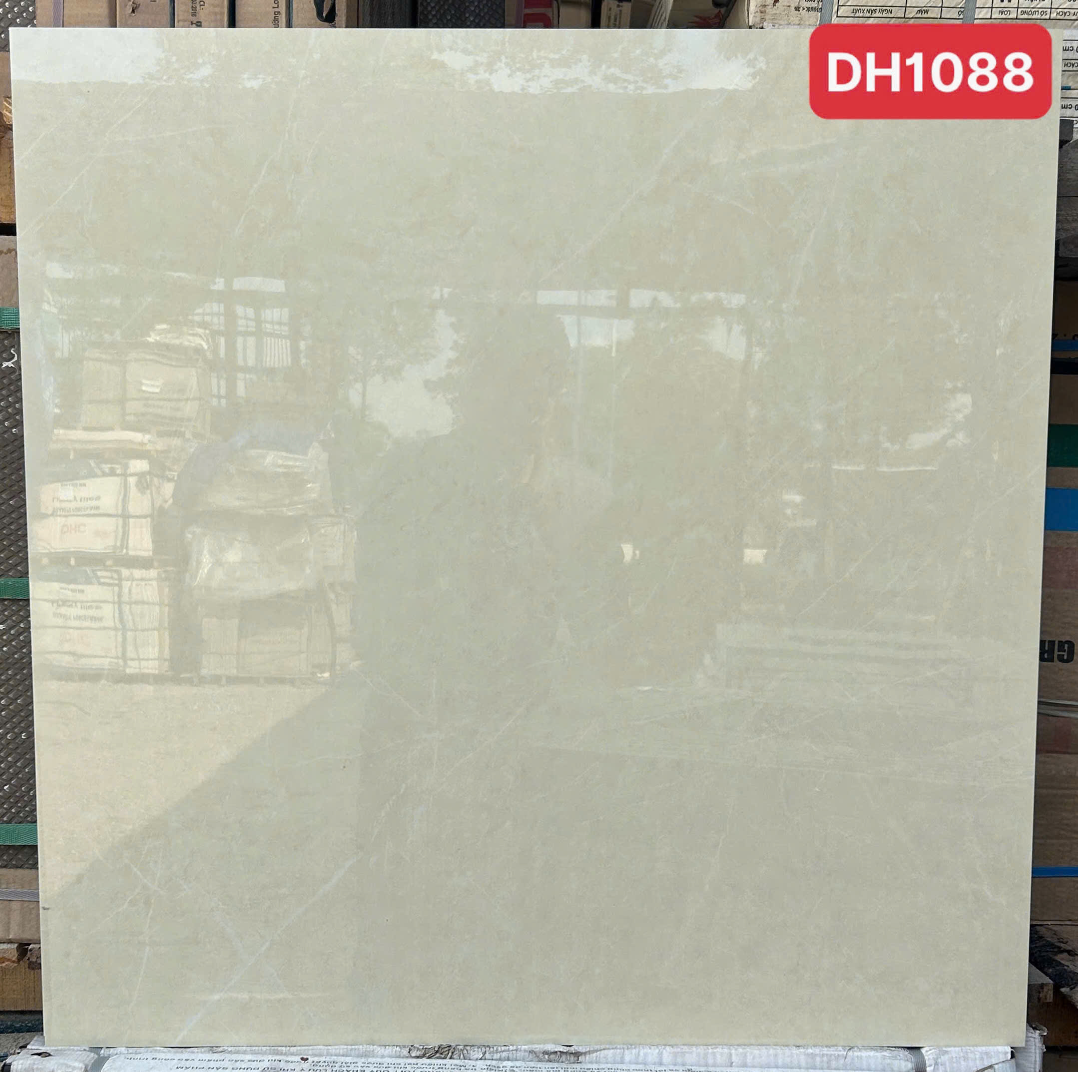 Gạch Lát Nền 80x80cm -5687