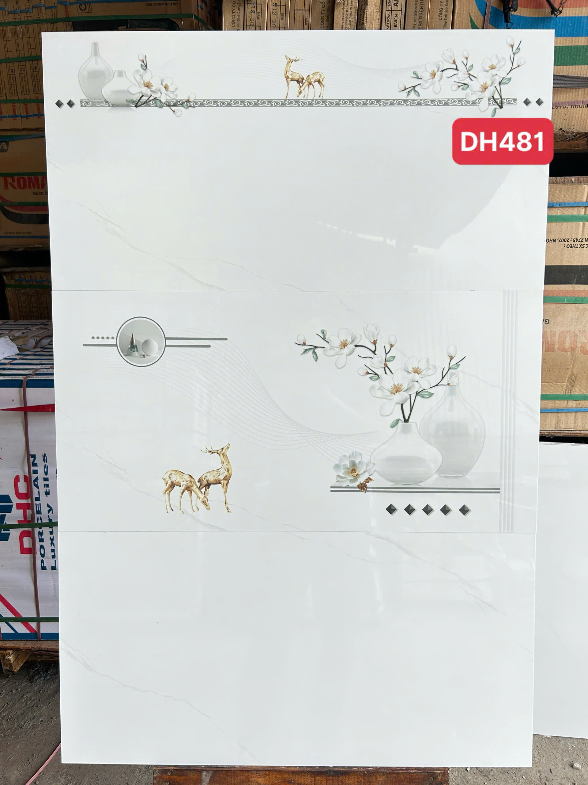 Gạch Ốp Tường 40x80 cm DH481-5691