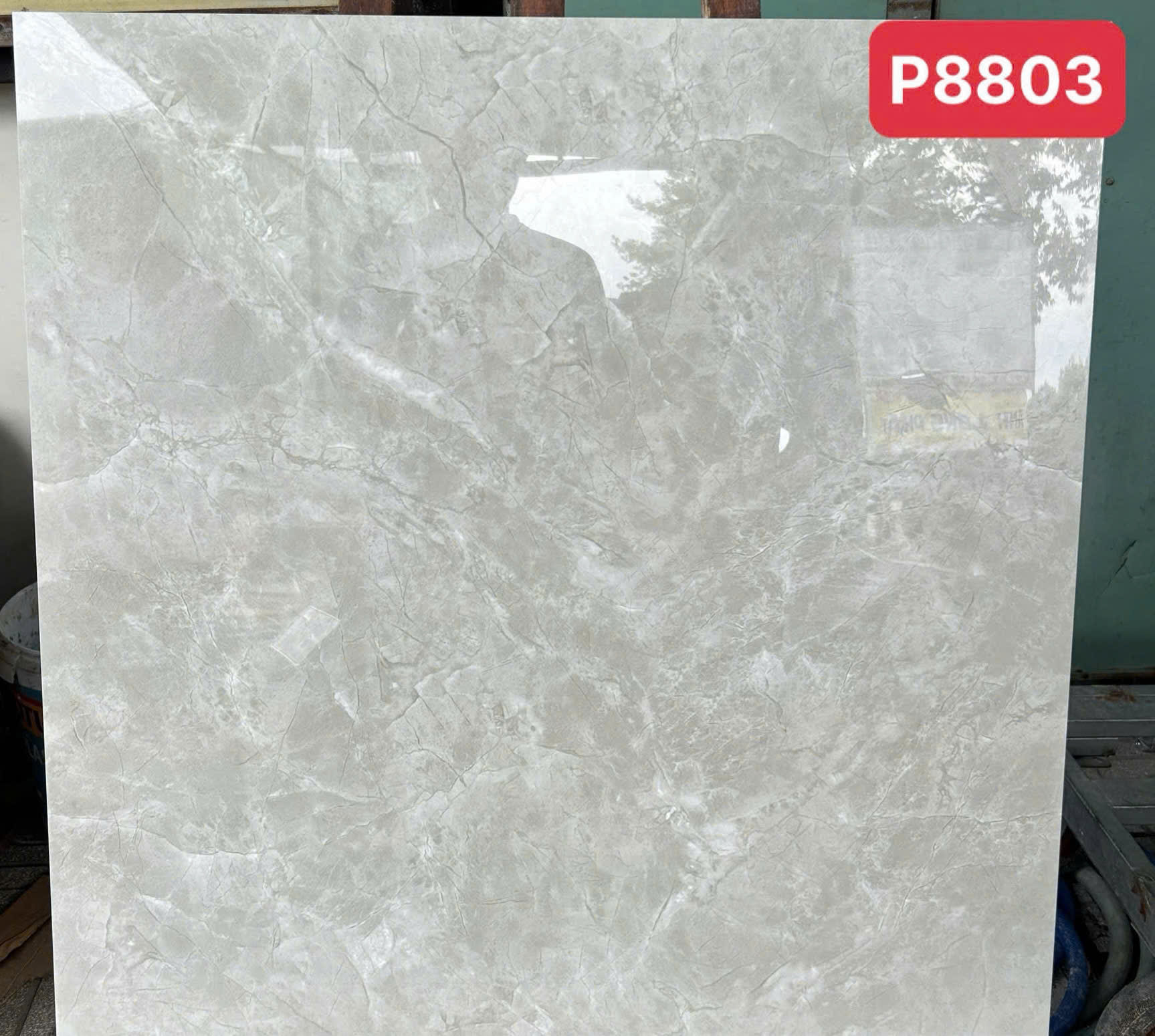 Gạch Lát Nền 80x80cm -5690