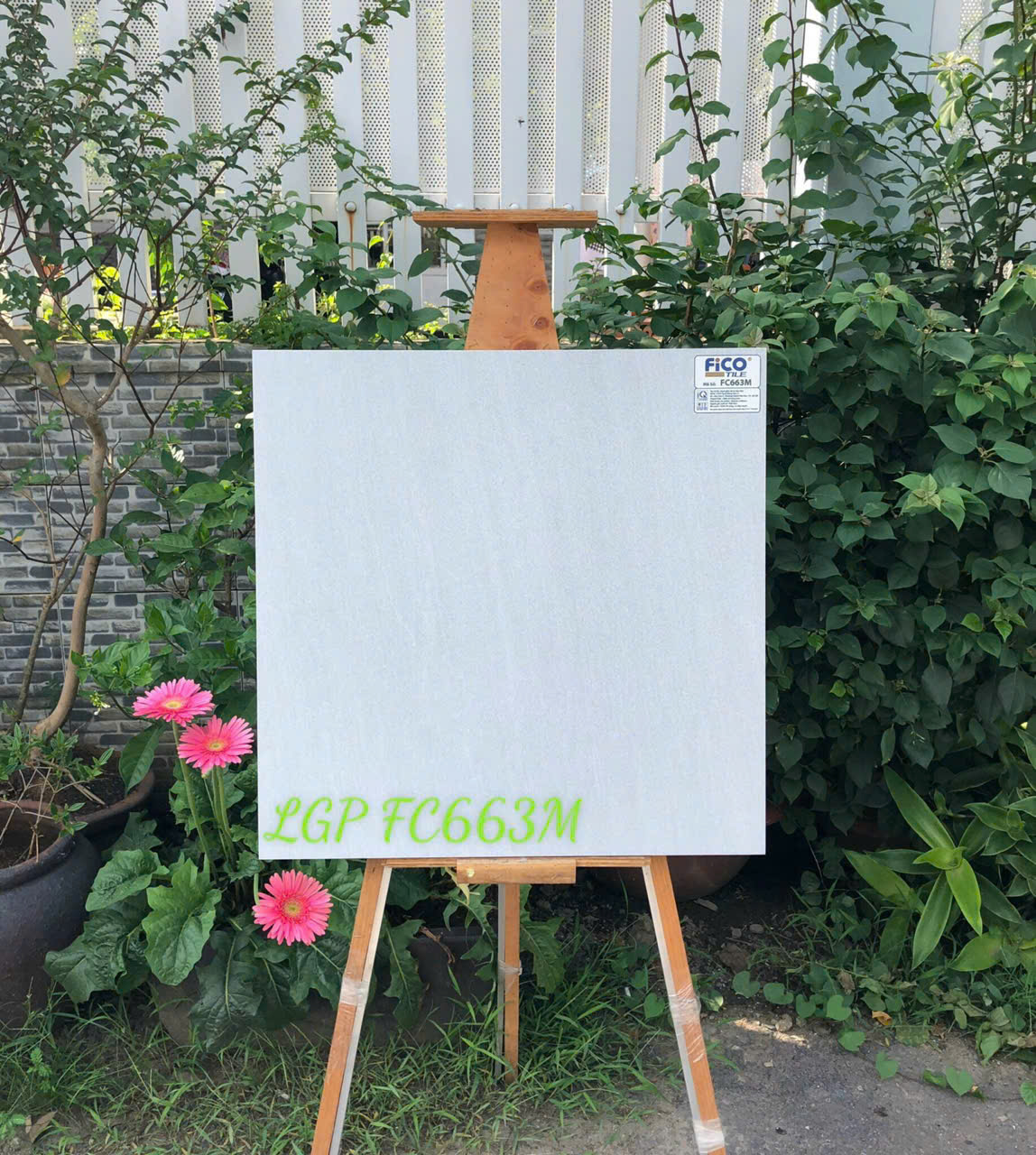 Gạch ốp lát 60x60cm -5701